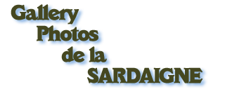 logo galerie sardaigne photos