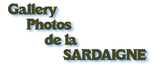logo gallerie photos sardaigne